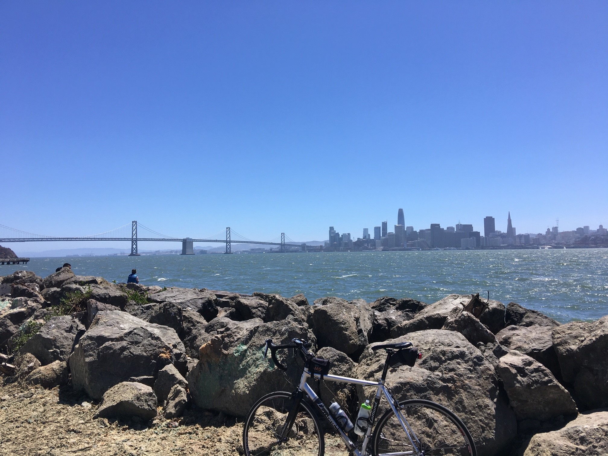 View of San Francisco Bay from the Bay Trail